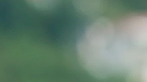 Richard Gere y Alejandra Silva.