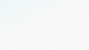 El Clásico Mundial de Béisbol contaría por primera ocasión con 20 equipos.