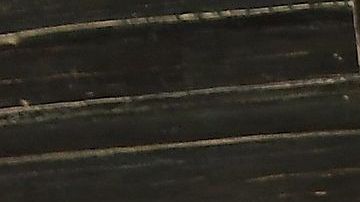 Jorge Ramos y Chiquinquirá Delgado