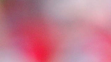 El 4 de julio aparece como la fecha tentativa para arrancar el calendario.