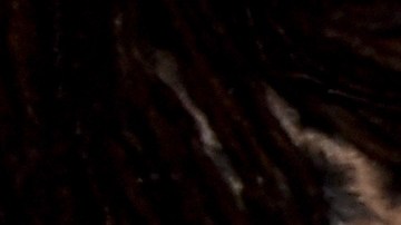 Salma Hayek y su hija Valentina junto a Oprah Winfrey.