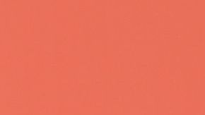 Blac Chyna posa junto a la sexy modelo Amber Rose.