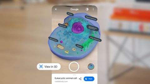 Google-3D