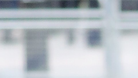 Príncipe Harry y Meghan Markle disfrutan pasear con sus perros aún en la cuarentena.