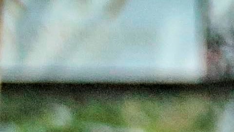 Una familia pide ayuda económica para comprar alimentos en una calle de Tegucigalpa, este 13 de mayo de 2020. EFE/Gustavo Amador