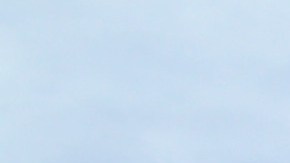 Manifestantes en el parque Pan Pacific.