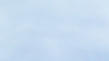 Manifestantes en el parque Pan Pacific.