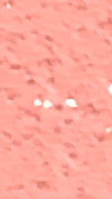 El propietario de un departamento removió las chapas de la puerta para presionar por la desocupación. (Cortesía Arely Solano).