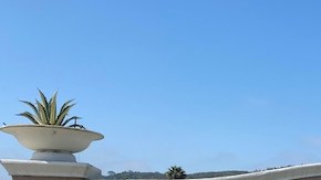 Westerlay Orchids hizo una donación de 1,500 orquídeas para la comunidad de adultos mayores La Costa Glen.