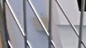 Edificios de oficinas en Nueva York se preparan para reabrir con distanciamiento social.