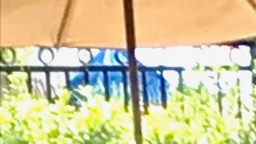 Juan (i) de 71 años y Gerardo de 65.