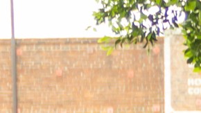 Cientos de personas asistieron al Mercado de las Flores por el Día de las Madres.