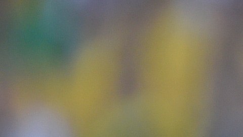Patrice Evra disputó el Mundial de Brasil 2014.