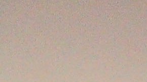 Almeyda y Herrera son dos técnicos exitosos en la Liga MX.