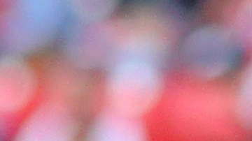 Pulido y Pizarro han estado en el ojo del huracán.