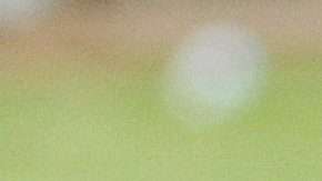 Melvin Brown fue mundialista en 2002.