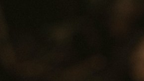 Comienza tu propio jardín con estos consejos básico de expertos.