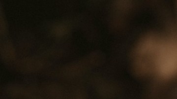 Comienza tu propio jardín con estos consejos básico de expertos.