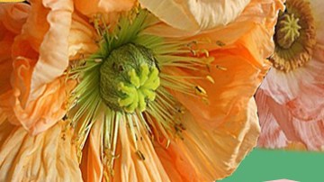 María Arredondo tiene cáncer de seno. (Cortesía California Coalition for Women Prisoners)