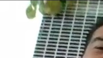 Mariela Barrales (der.) celebra con su padre Felipe que pronto asistirá a Yale. (Suministrada por Félix I. Hernández)