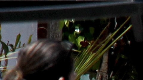 Escena del crimen México