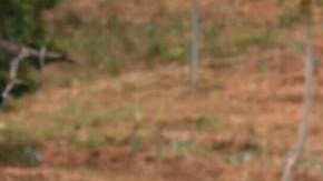 La cúpula militar ratificó su apoyo al presidente Nicolás Maduro.