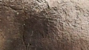 Familiares de pacientes con COVID-19 esperan información afuera de un hospital de Ciudad de México.