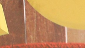 Ninel Conde se vio opacada por su perrita en un video.