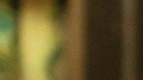 El nuevo disco de Natalia Lafourcade incluye 14 temas. Foto: Manuel Zúñiga