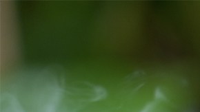Vapeo en padres podría generar eczema en los niños: por qué