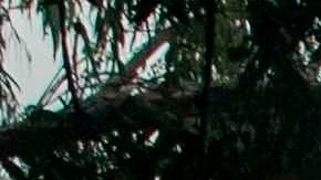 Una mujer junto a su hijo (d) utilizan tapabocas al salir de una escuela pública este viernes, en Managua.