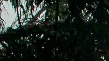 Una mujer junto a su hijo (d) utilizan tapabocas al salir de una escuela pública este viernes, en Managua.