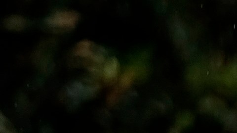 Un trabajador retira desechos de un hospital en Managua.