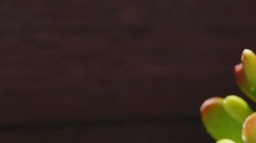 Niño envuelto-RitaE en Pixabay