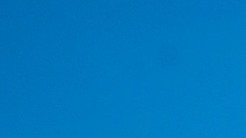 Los parques públicos de la capital francesa reabrieron este sábado.