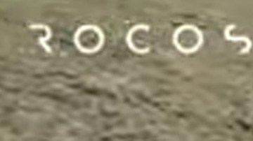 Perro robot cuida ovejas