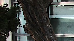 Rocío Rebollar (i) junto a sus hijos y nietos en en San Diego.