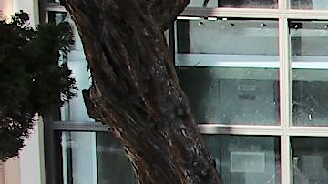 Rocío Rebollar (i) junto a sus hijos y nietos en en San Diego.