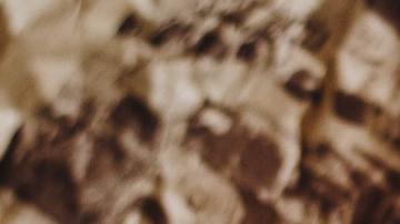 Foto: NastyaSensei/Pexels