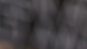 Reese Witherspoon tiene tres perros con los que pasa momentos muy divertidos durante el confinamiento.