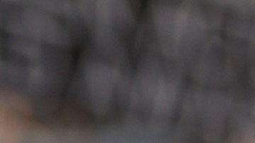 Reese Witherspoon tiene tres perros con los que pasa momentos muy divertidos durante el confinamiento.