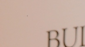 Sebastián Yatra tiene siete perros como mascotas.