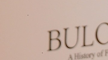 Sebastián Yatra tiene siete perros como mascotas.