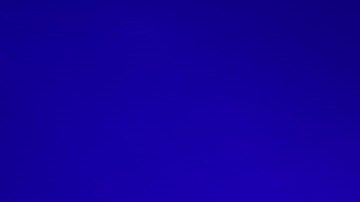 Slash es amante de las víboras desde pequeño.