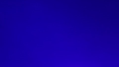 Slash es amante de las víboras desde pequeño.