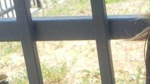 La Sra. Marisela Cuevas después del ataque