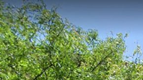 La manzana fue destruida el viernes en la noche.