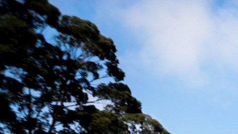 Aspectos de un funeral en Vila Formosa, en Sao Paulo.