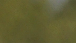 Sylvia Torres recibirá una cesta de frutas y vegetales como regalo de Día de la Madre. (Cortesía Sergio López/Catholic Relief Services)