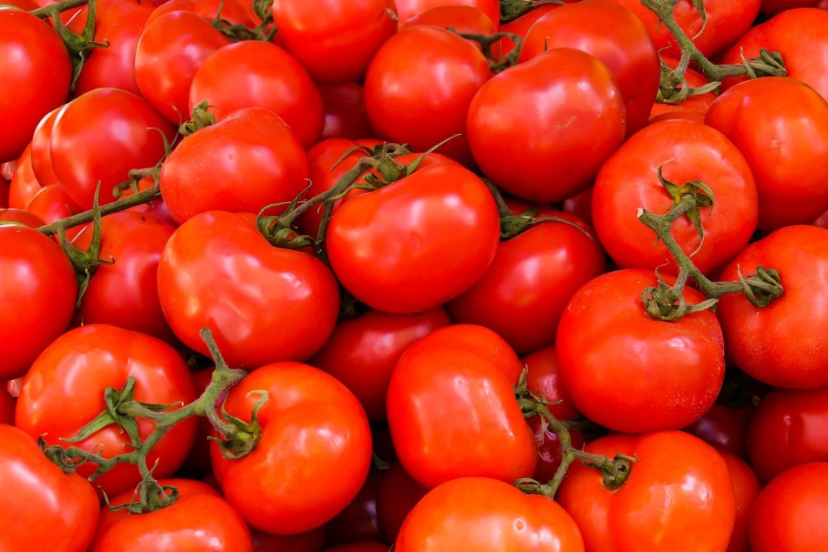 La passata es un puré de origen italiano para el que solo necesitas tomate, sal y albahaca.
